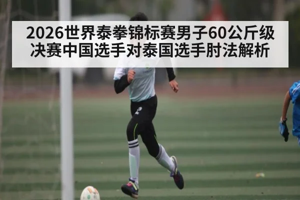 2026世界泰拳锦标赛男子60公斤级决赛中国选手对泰国选手肘法解析
